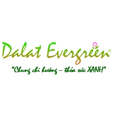 Logo Công Ty Dalat Evergreen