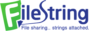 Logo Công Ty Filestring Vietnam