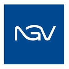 Logo Công Ty NGV GROUP