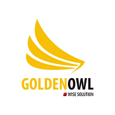 Logo Công Ty Golden Owl Consulting