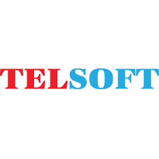 Logo Công Ty Viễn Thông Telsoft