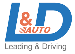 Logo Công Ty L&D Auto