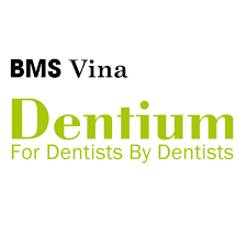 Logo Công Ty Công Ty TNHH BMS VINA