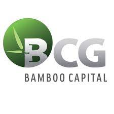 Logo Công Ty Tập đoàn Bamboo Capital