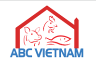 Logo Công Ty ABC Việt Nam
