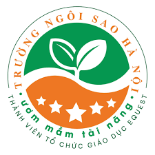 Logo Công Ty Trường Liên Cấp Tiểu Học & THCS Ngôi Sao Hà Nội