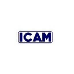 Logo Công Ty Icam Việt Nam