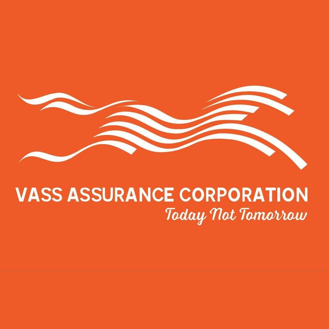Logo Công Ty Bảo hiểm Viễn Đông VASS