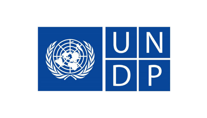 Logo Công Ty UNDP