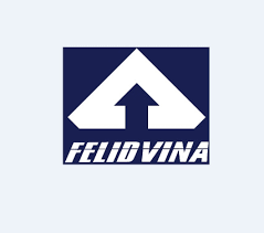 Logo Công Ty Felid Vina