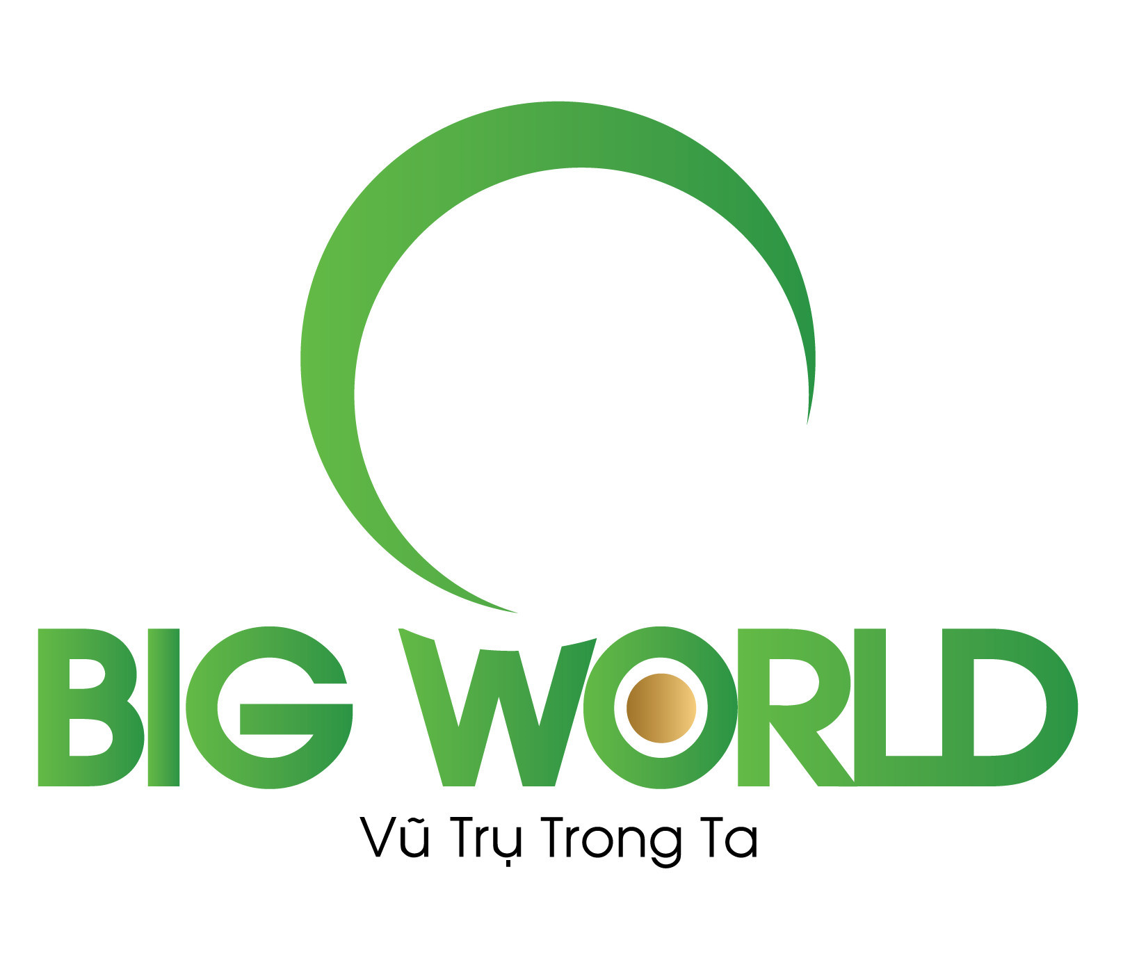 Logo Công Ty Đầu Tư Big World Holding