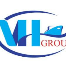 Logo Công Ty Việt Hoa Group