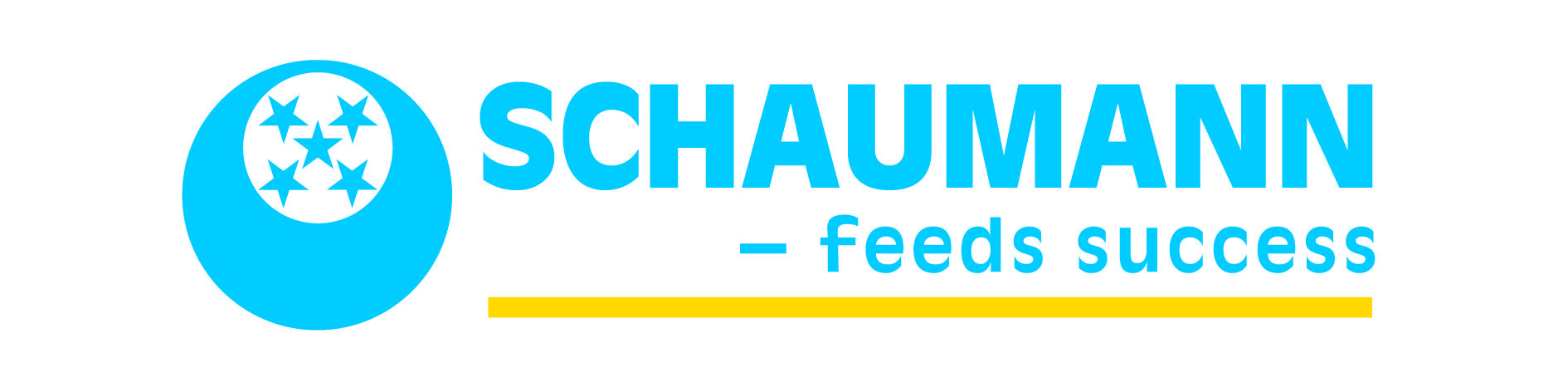 Logo Công Ty Schaumann Việt Nam