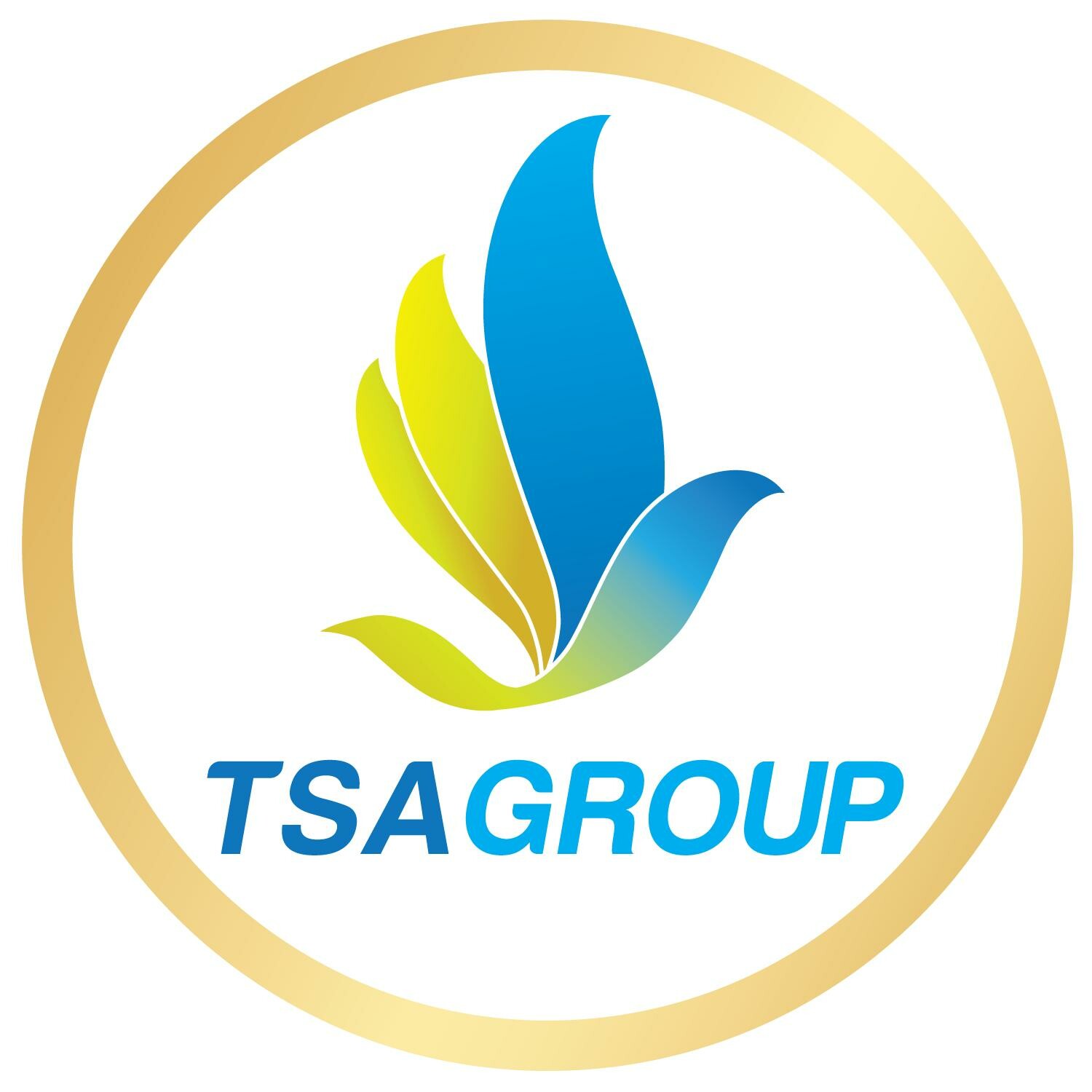 Logo Công Ty Tân Sơn Anh