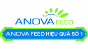 Logo Công Ty Anova Feed