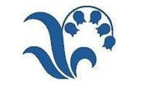 Logo Công Ty Subron Việt Nam