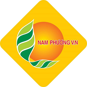 Logo Công Ty Nam Phương V.N