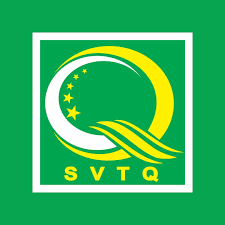 Logo Công Ty Sao Việt Tuyên Quang