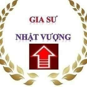 Logo Công Ty Gia Sư Nhật Vượng
