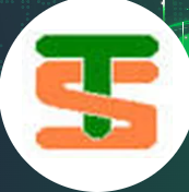Logo Công Ty TS Vietnam