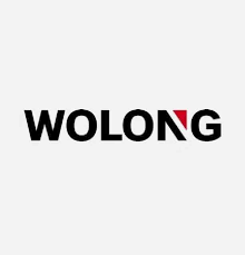 Logo Công Ty Wolong (Việt Nam)