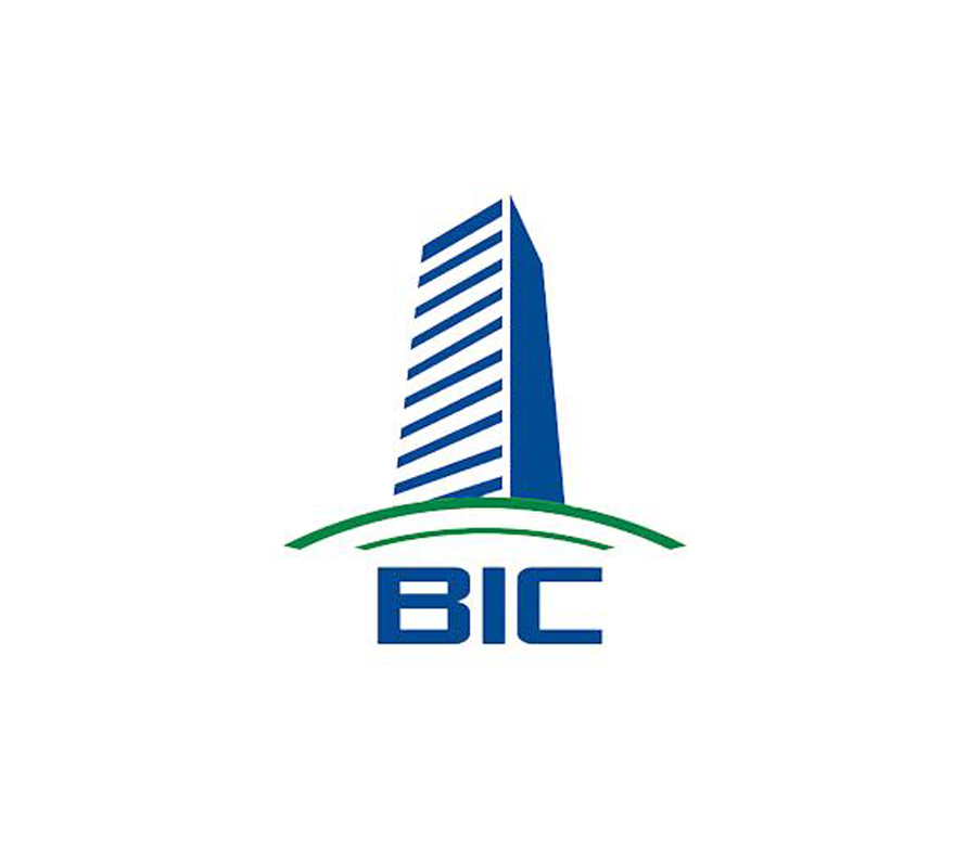 Logo Công Ty BIC