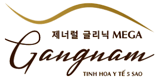 Logo Công Ty Mega GangNam
