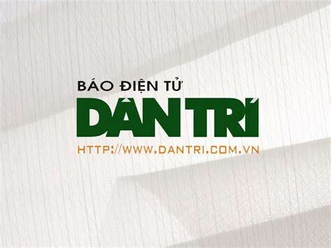 Logo Công Ty Dân Trí