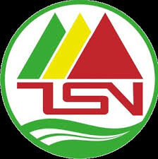 Logo Công Ty Phát Triển Tâm Sinh Nghĩa