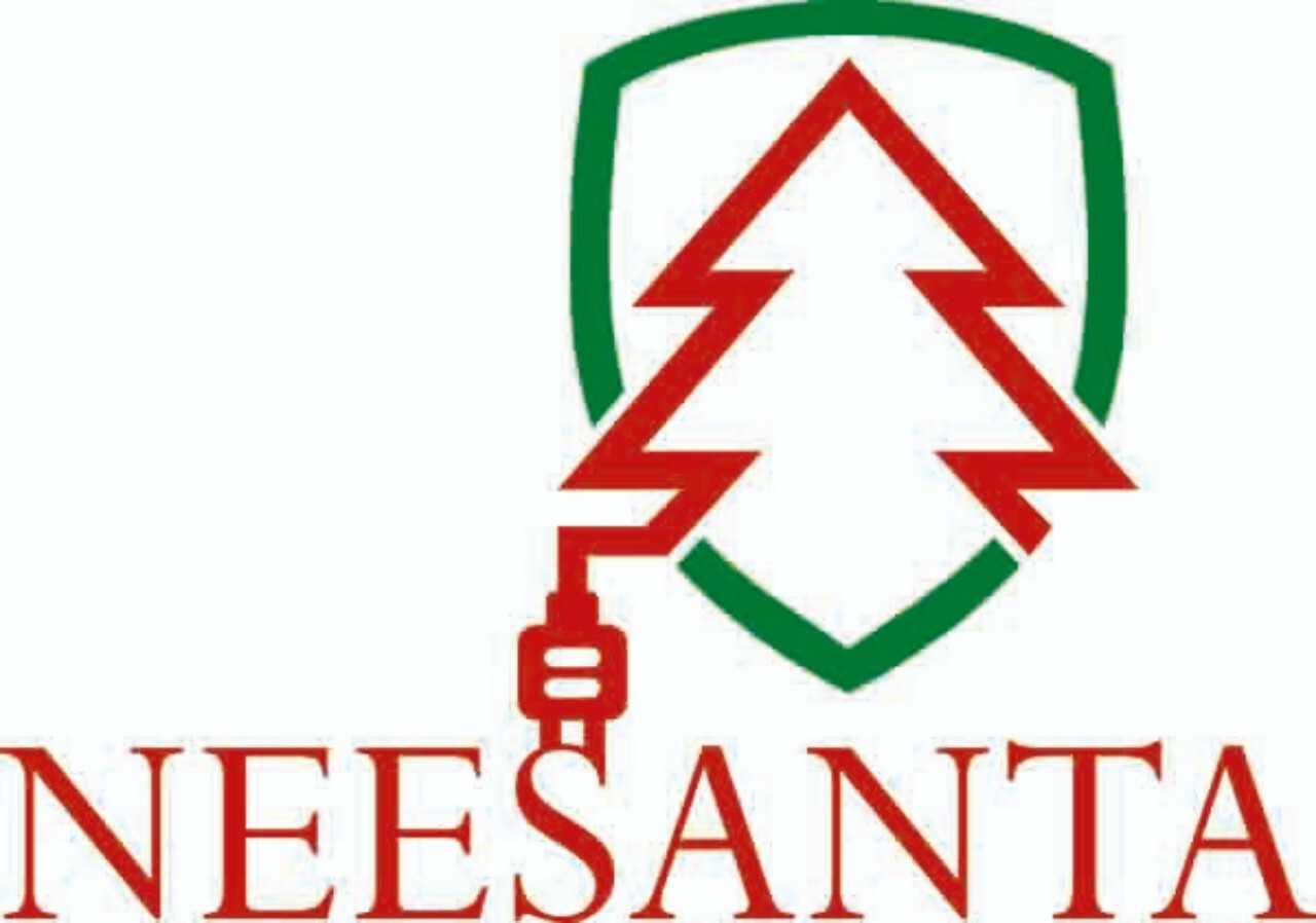 Logo Công Ty Santa Vina