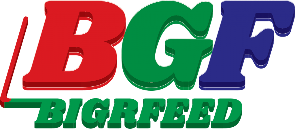 Logo Công Ty Bigrfeed BGF
