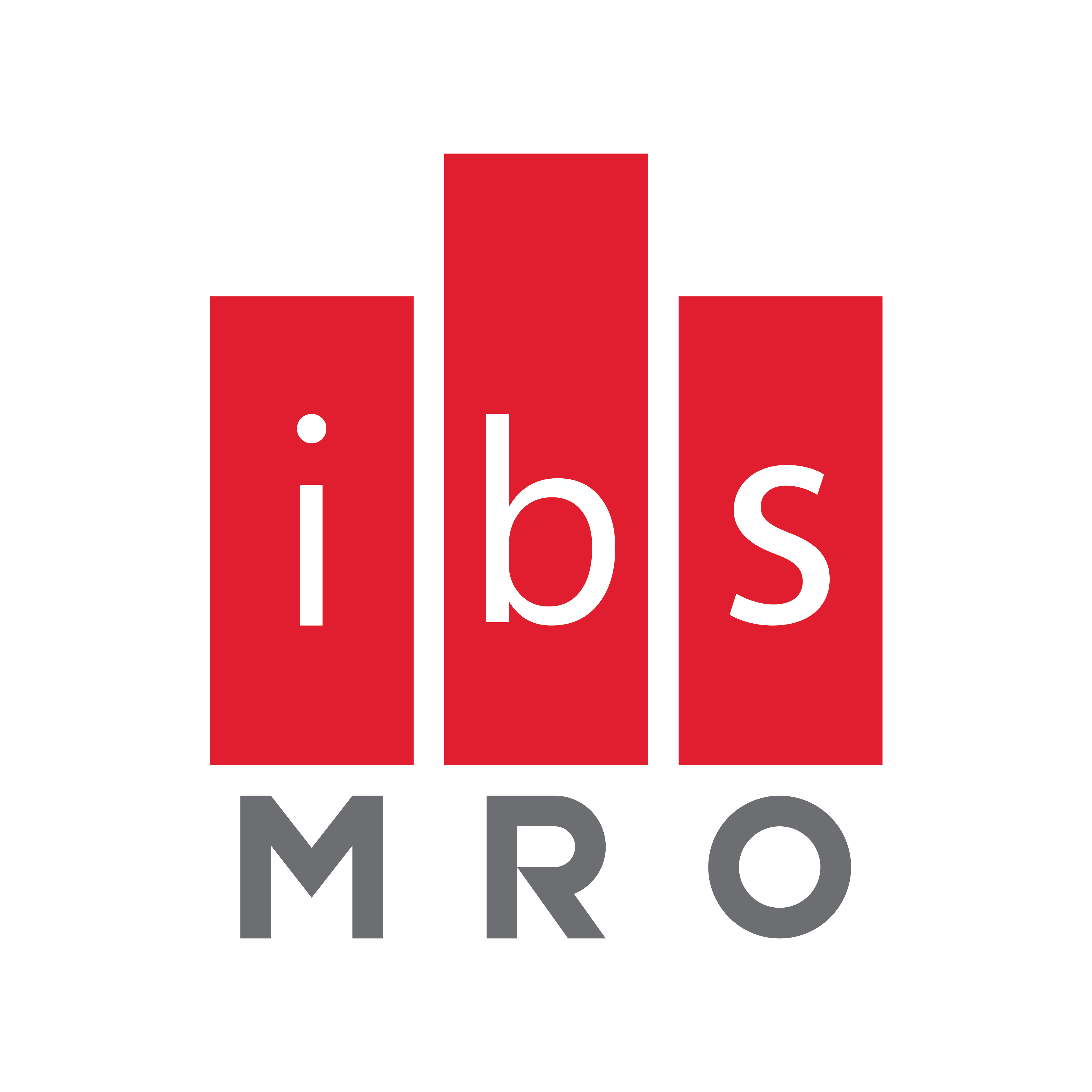 Logo Công Ty IBS MRO Việt Nam