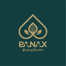 Logo Công Ty Tập Đoàn Pusilung