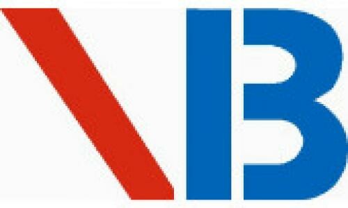 Logo Công Ty Bingo Vina - Happy Move