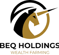 Logo Công Ty BEQ HOLDINGS