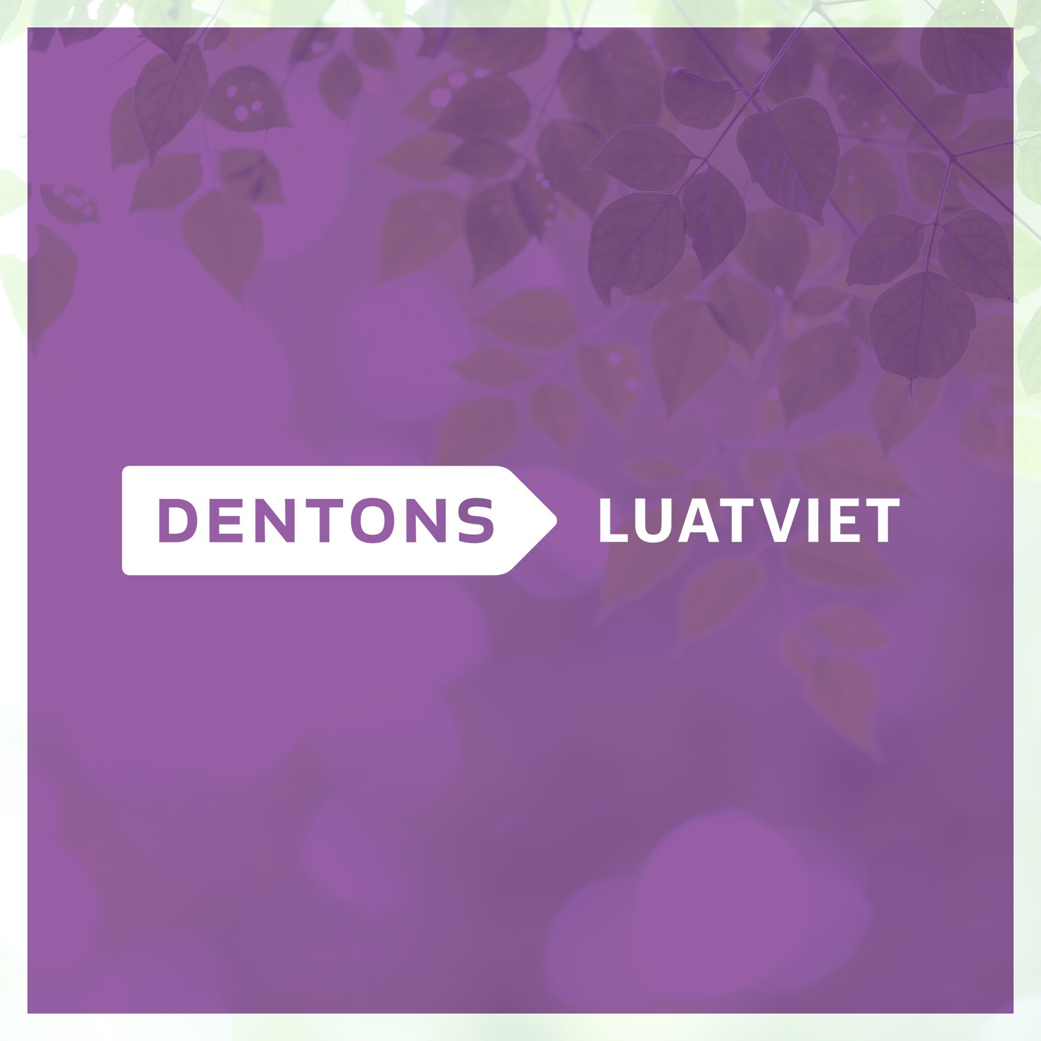 Logo Công Ty Luật Việt - Dentons LuatViet