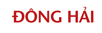 Logo Công Ty ĐÔNG HẢI