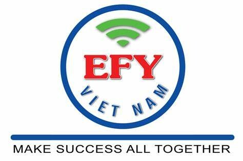 Logo Công Ty EFY Việt Nam