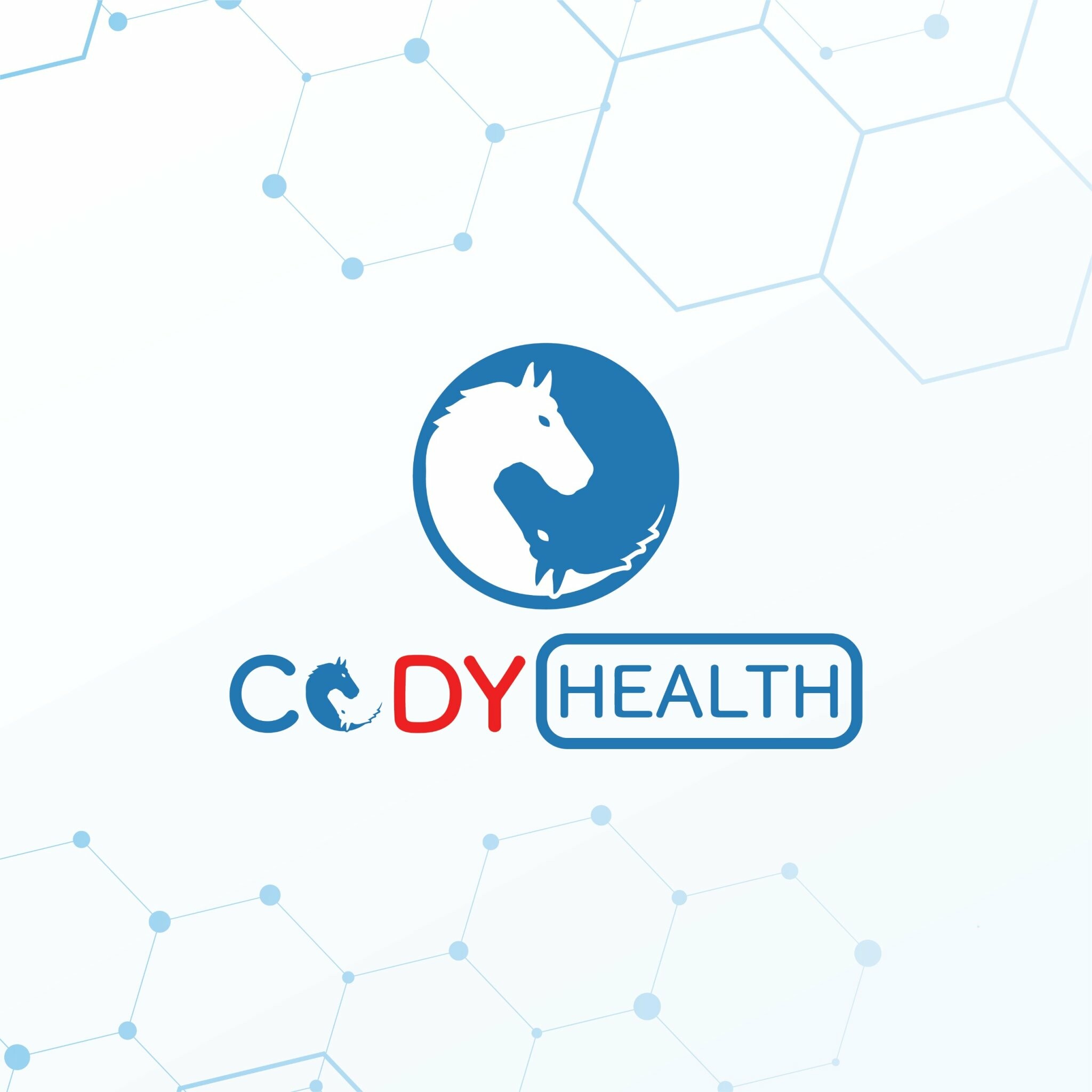 Logo Công Ty Phòng khám Y học Cổ Truyền CODY HEALTH