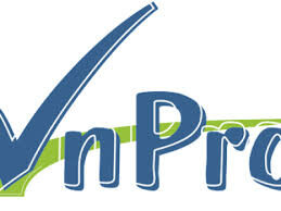 Logo Công Ty Trung Tâm Tin Học VnPro