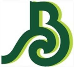 Logo Công Ty Bảo Lâm Phương - Hadana Boutique Hotel