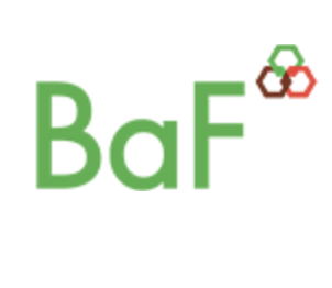 Logo Công Ty BaF VIỆT NAM