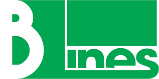 Logo Công Ty Giao Nhận Vận Tải "B" Lines