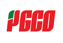 Logo Công Ty PGCO