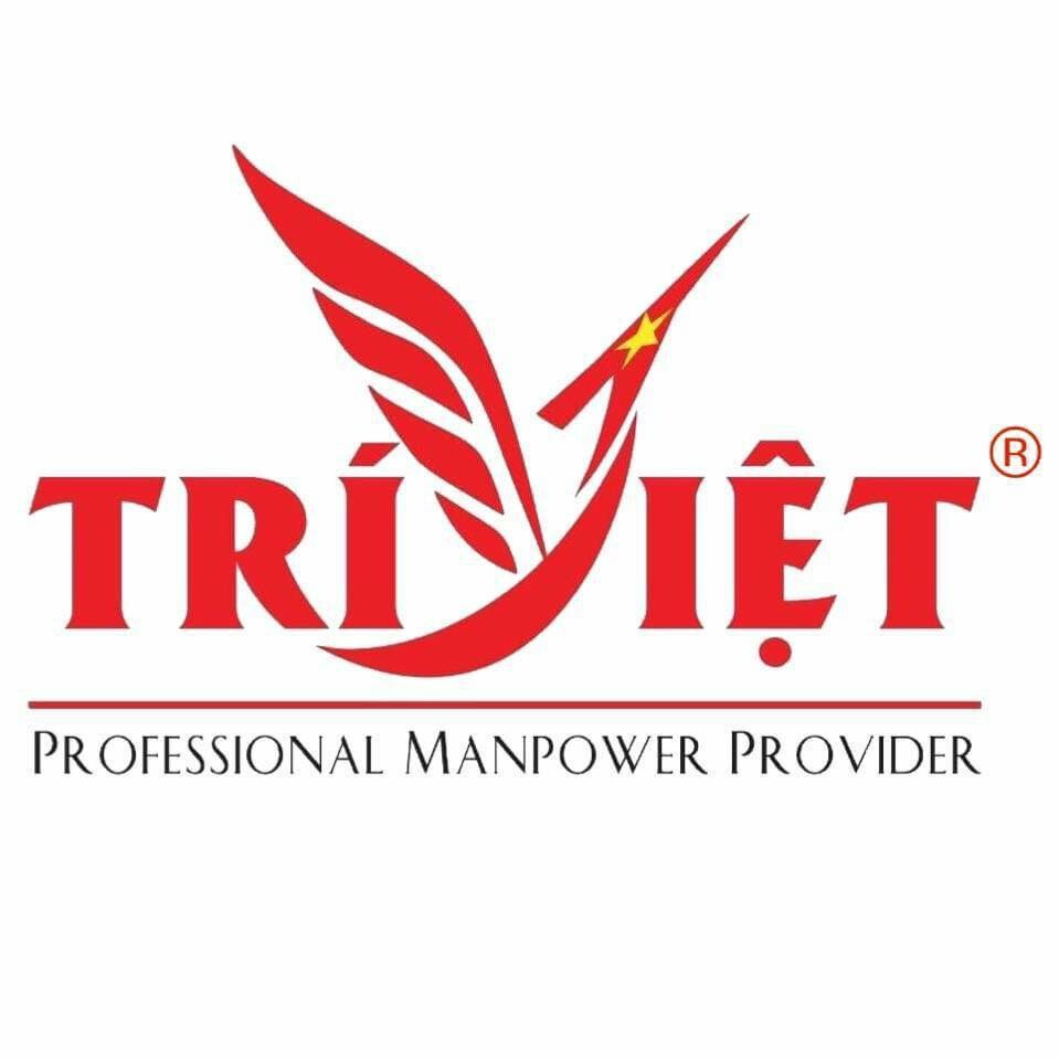 Logo Công Ty NHÂN LỰC TRÍ VIỆT