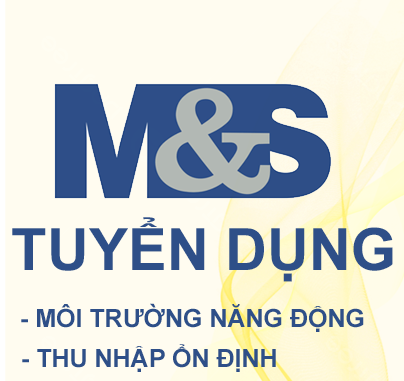 Logo Công Ty M&S VINA