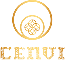 Logo Công Ty Tư Vấn Giải Pháp Cenvi