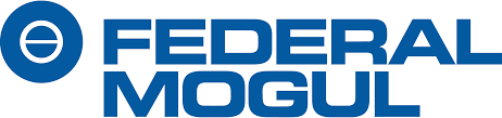 Logo Công Ty Federal-Mogul (Việt Nam)