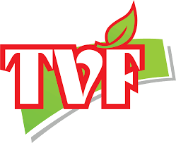 Logo Công Ty Tâm Việt Foods