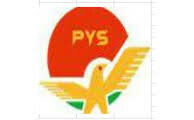 Logo Công Ty PYS Việt Nam